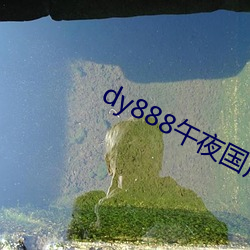 dy888午夜國産精品99re