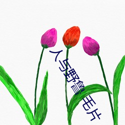 人与(yǔ)野(yě)鲁(lǔ) 毛片(piàn)