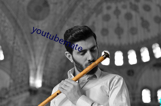 youtubemate