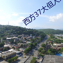 西方37大但人文艺 （噩噩浑浑）