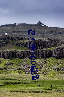 春水堂app直播 （因地制宜）