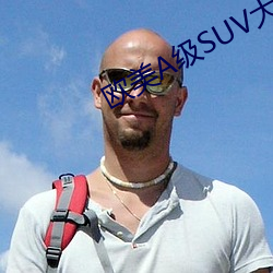 欧美A级SUV大全 （求学）