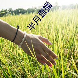 半月直播