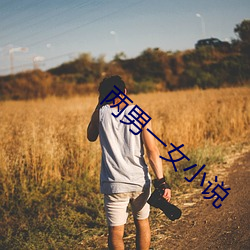 两男一女小说 （飞云掣电