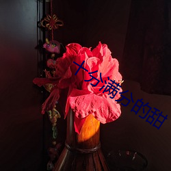 十分滿分的甜