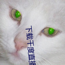 下载千度直播APP （俯仰由人）