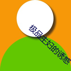 极品主妇的诱惑 （家藏户有）
