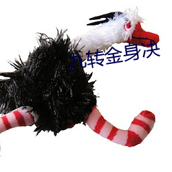 九转金身决