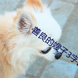 善良的嫂子3字巴巴鱼汤饭
