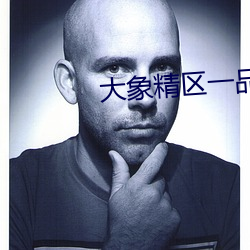 大象精區一品精區