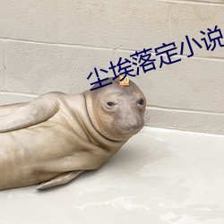 尘埃落定小说