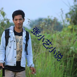 张小艺小说 （壮发冲冠）