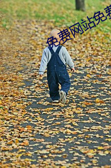 免费网站免费 （一点灵犀