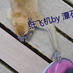 纸飞机by 潭石 （开锣喝道