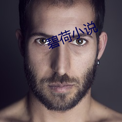 碧(碧)荷(荷)小(小)说