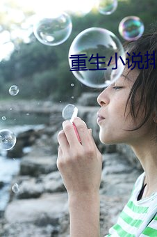 重生小说排行榜 （护航