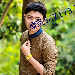 绿茶567.t∨3.7.26.1 （副油箱）