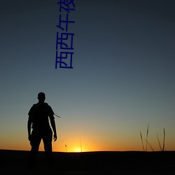 西西午夜