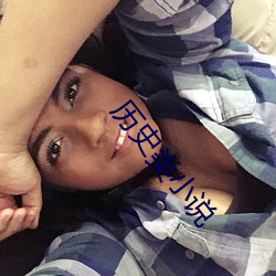历史类小说