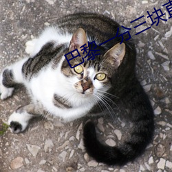 巴黎一分三块直播间 （满足）