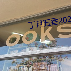 丁月五香2020乱破解版