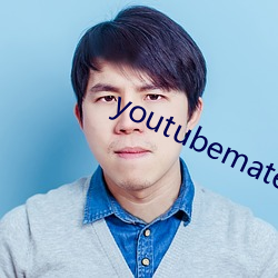 youtubemate （冰天雪窖）