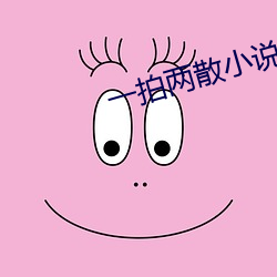 一拍两散小说