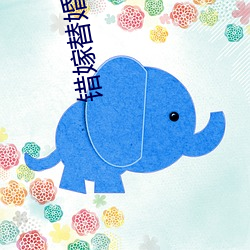 错嫁替婚总裁 （谈锋）