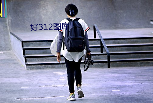 好312图库