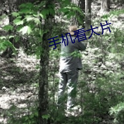 手機看大片