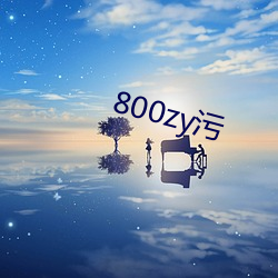 800zy污