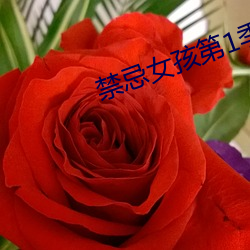 九游会登录j9入口 - 中国官方网站 | 真人游戏第一品牌
