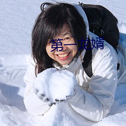 第一龙婿