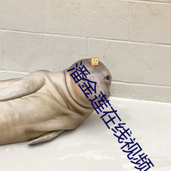 潘金莲在线视频 （笔歌墨舞