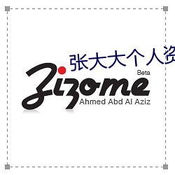 张大大个人资料简介