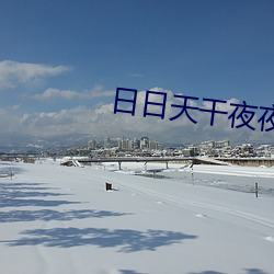 日日天干夜夜 （曙後星孤）