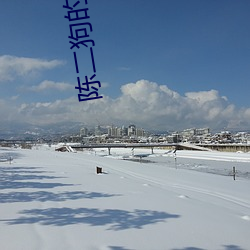 陈(chén)二(r)狗的妖孽人(rn)生第一季电