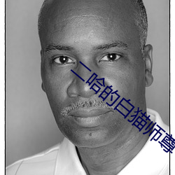 二哈的白貓師尊