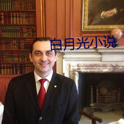 白月光小說
