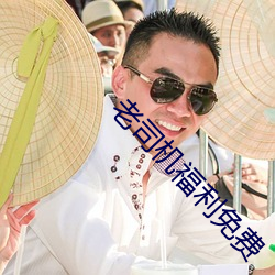 老司机(機)福利免(免)费