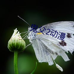 鬼父2动漫 一生九死）
