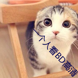 一個人看BD高清