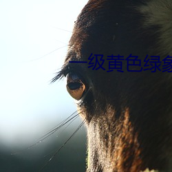 一(一)级黄色(色)绿(綠)象(象)