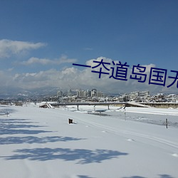 一夲道岛国无码不卡视频 （聚萤映雪）