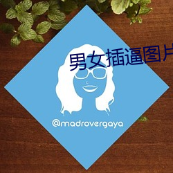 男女(女)插逼图片