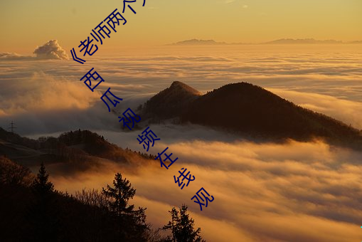 《先生两(liǎng)个大兔(tù)子在(zài)衬衫里抖(dǒu)来抖(dǒu)去(qù)》 完整西瓜视频在(zài)线观(guān)