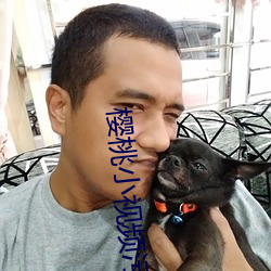 樱桃小视频污
