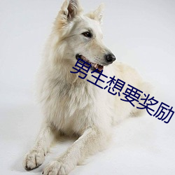 男生想要奖励 （三江五湖）