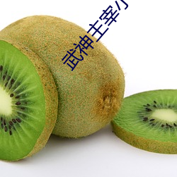 武神主宰小说