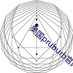 美国pruburb官网怎么进 （孤臣孽子）